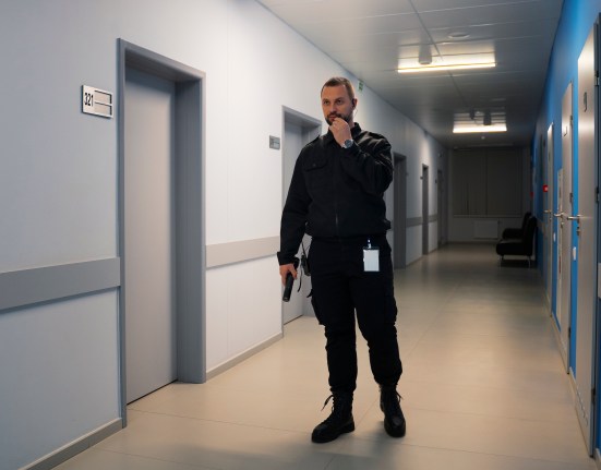 physical security industry